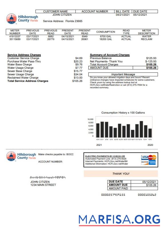 Blank USA Hillsborough County utility bill template in Word and PDF format
